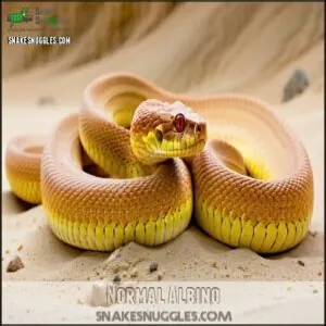 Normal Albino Normal Albino