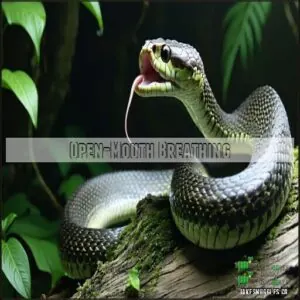 Open-Mouth Breathing Open-Mouth Breathing