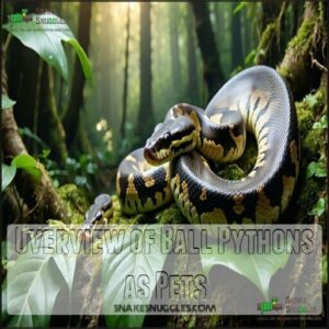 Overview of Ball Pythons as Pets