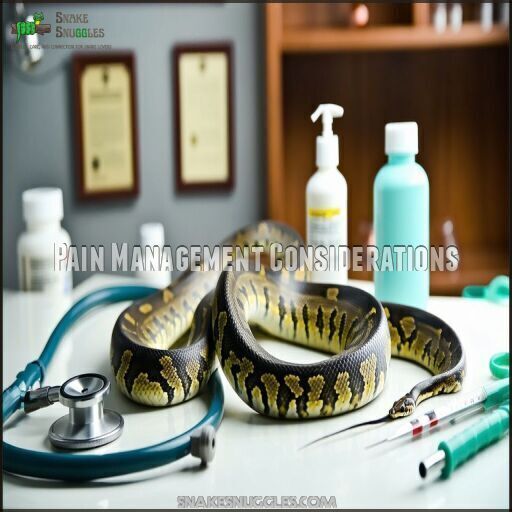 Safe Medications for Snakes: Dosage Guide for Treatment and Care