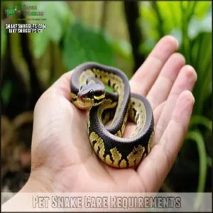 Pet Snake Care Requirements Pet Snake Care Requirements