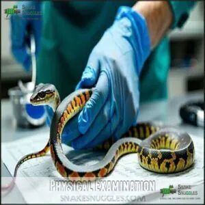 Physical Examination Physical Examination