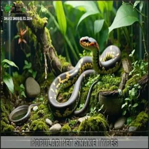 Popular Pet Snake Types Popular Pet Snake Types