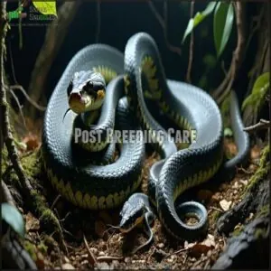 Post Breeding Care Post Breeding Care