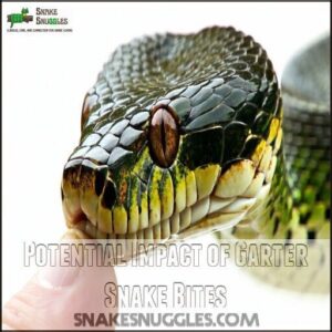 Potential Impact of Garter Snake Bites