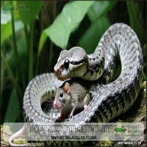 Prey Size for Hatchlings Prey Size for Hatchlings