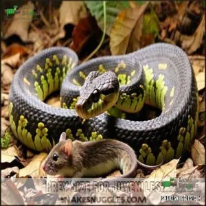Prey Size for Juveniles Prey Size for Juveniles