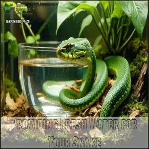 Providing Fresh Water for Your Snake Providing Fresh Water for Your Snake