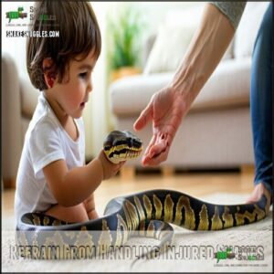 Refrain From Handling Injured Snakes