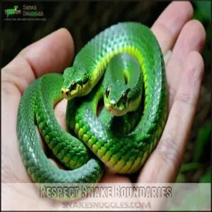 Respect Snake Boundaries Respect Snake Boundaries