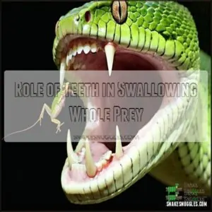 Role of Teeth in Swallowing Whole Prey Role of Teeth in Swallowing Whole Prey