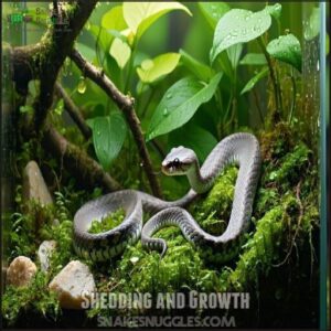 Shedding and Growth