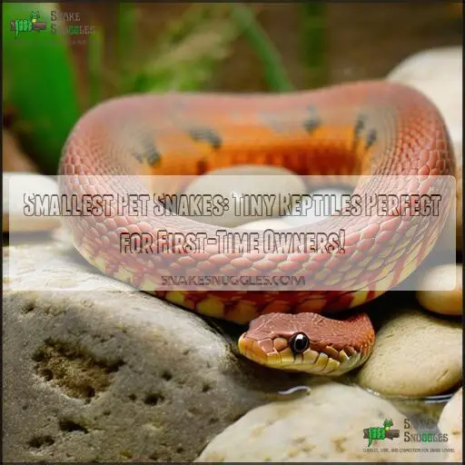 Smallest Pet Snakes: Tiny Reptiles Perfect for First-Time Owners!