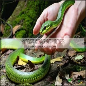 Snake Hook or Tongs Snake Hook or Tongs