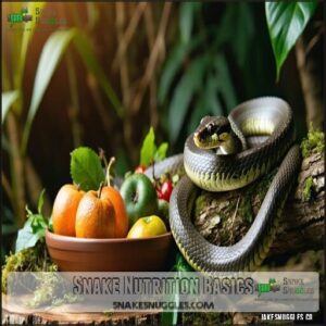 Snake Nutrition Basics