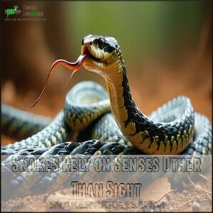 Snakes Rely on Senses Other Than Sight