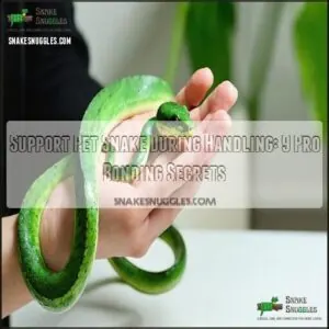 support pet snake during handling for bonding support pet snake during handling for bonding