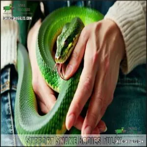 Support Snake Bodies Fully Support Snake Bodies Fully