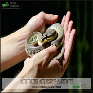 Support Snake's Weight Support Snake's Weight