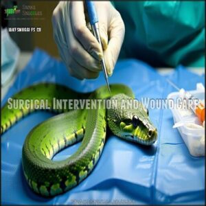 Surgical Intervention and Wound Care