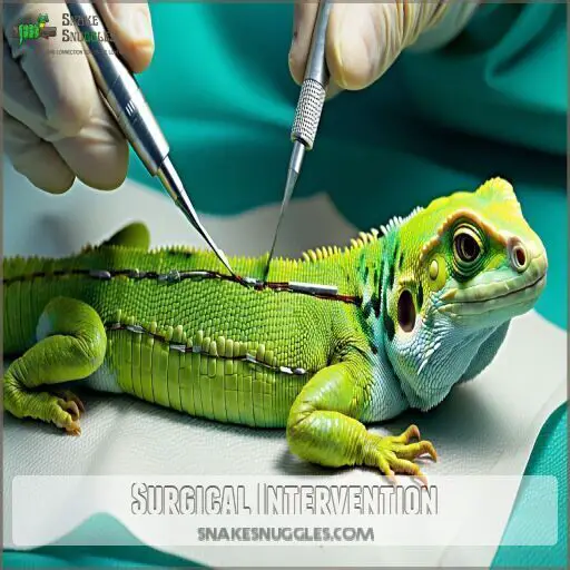 Reptile Illness Symptoms and Treatment: Common Diseases and Prevention