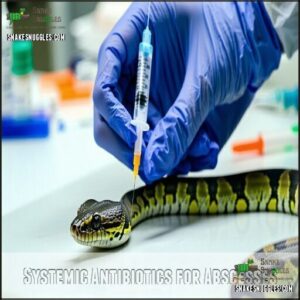 Systemic Antibiotics for Abscesses