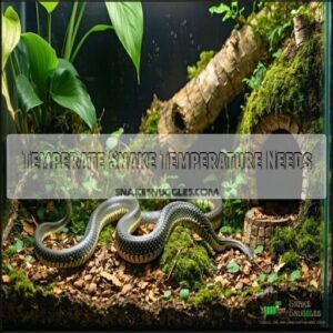 Temperate Snake Temperature Needs