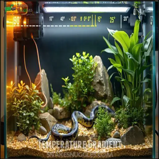 Ball Python Tank Size: Pro Secrets for The Perfect Habitat Setup!