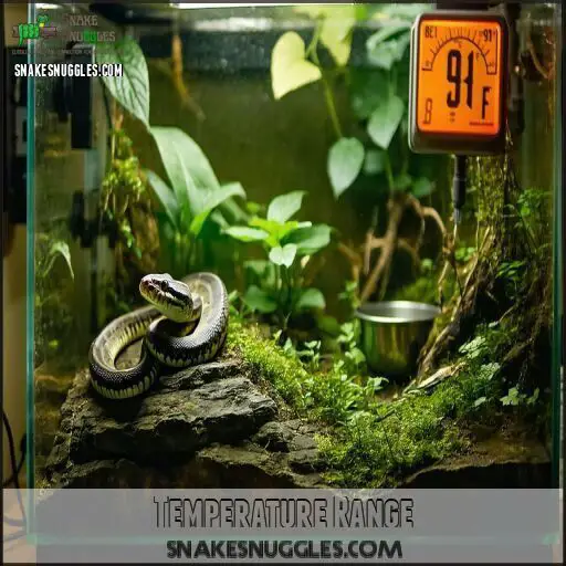 Burmese Python Care Sheet: Secrets of Massive Snake Success!