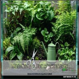 Terrarium Plant Maintenance