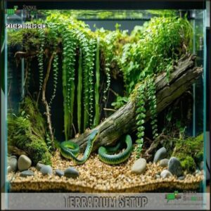 Terrarium Setup