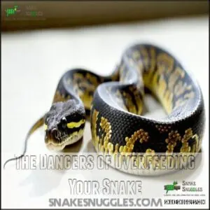 The Dangers of Overfeeding Your Snake The Dangers of Overfeeding Your Snake