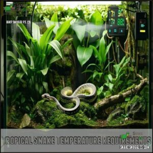 Tropical Snake Temperature Requirements