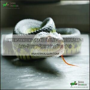 understanding snake prolapse treatment