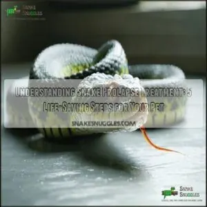 understanding snake prolapse treatment understanding snake prolapse treatment