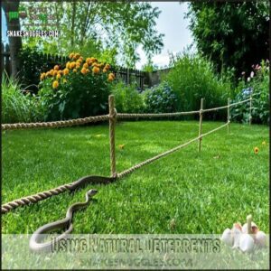 Using Natural Deterrents