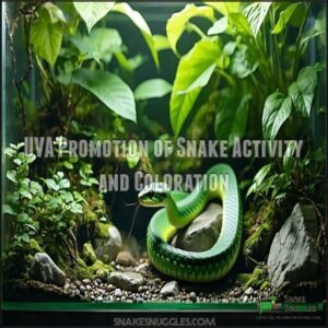 UVA Promotion of Snake Activity and Coloration