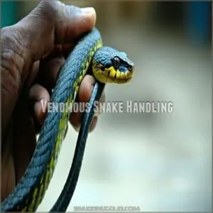 Venomous Snake Handling Venomous Snake Handling