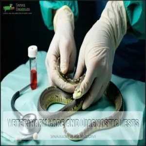 Veterinary Care and Diagnostic Tests Veterinary Care and Diagnostic Tests