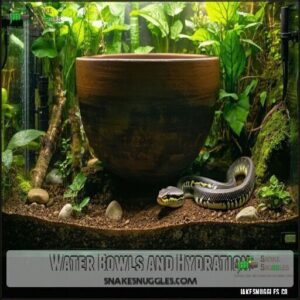 Water Bowls and Hydration