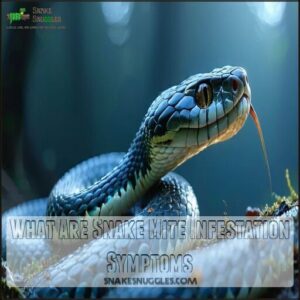 What Are Snake Mite Infestation Symptoms