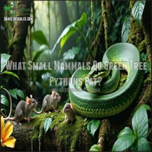 What Small Mammals Do Green Tree Pythons Eat