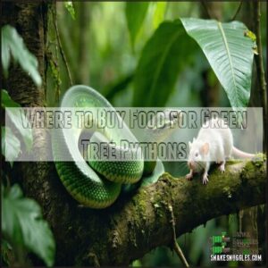 Where to Buy Food for Green Tree Pythons