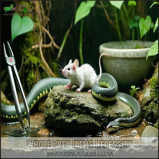 Feeding Frozen Thawed Boa Constrictor: Tips, Schedule, and Prey Choices