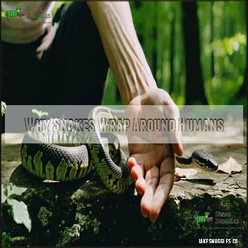 Snake Wrapping and Handling: Safe Practices to Avoid Bites and Stress