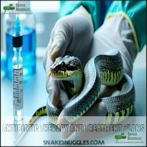 Antibiotic Therapy and Treatment Plans Antibiotic Therapy and Treatment Plans