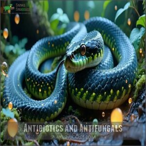 antibiotics and antifungals