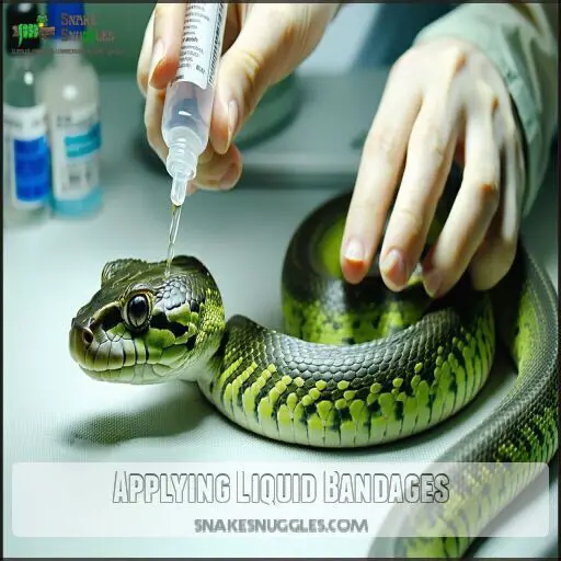 Picture of Safe Snake Wound Care Products: 7 Vet-Approved Solutions for Reptile ...