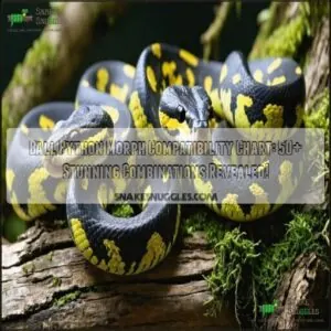ball python morph compatibility chart