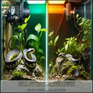 Ball Python Temperature Ball Python Temperature